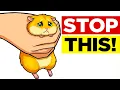 18 Things Hamsters HATE That Owners Still Do This Is Stressing Them