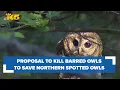 Conservation groups divided on proposal to kill barred owls which threaten native owls