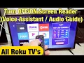 All Roku TV s How to Turn Screen Reader Guide