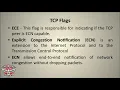 Malicious Python 3 Programming Port Scanner - Port Scanning TCP Flags