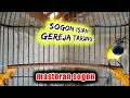 Download Lagu SOGON GACOR ISIAN GEREJA TARUNG COCOK UNTUK MASTERAN      #sogongacor #sogon #sogonisiangerejatarung