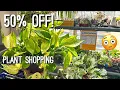 50 OFF Houseplants at Lowes Plant Shopping Local Big Box Store Lowes Shopping