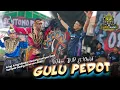 Download Lagu VIRAL TIKTOK ‼️ GULU PEDOT Djandut Sentono Putro Voc. Wulan JNP - SG AUDIO