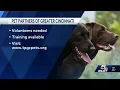 Pet Partners of Greater Cincinnati honoring animals handlers who help those in need