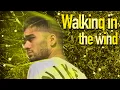 Download Lagu Walking in the wind-Zayn edit