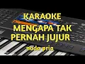 Download Lagu karaoke mengapa tak pernah jujur nada pria cover