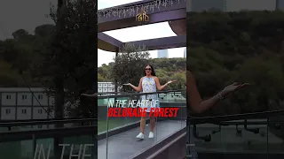 قوانین طلایی وارن بافت Realestate 