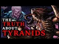 Download Lagu Tyranids: Origins, Bioforms, and Imperial Myths l Warhammer 40k Lore