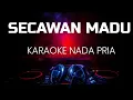 Lagu SECAWAN MADU KARAOKE NADA PRIA
