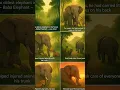 Old Elephant sad story