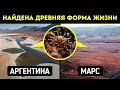 Download Lagu Ученые обнаружили неизвестный доисторический мир на Земле