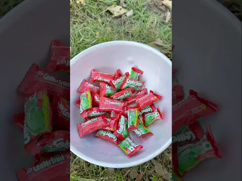 Survival Skills. Creative Gourd Hacks That Actually Work 💯