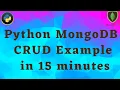 MongoDB CRUD operations Python