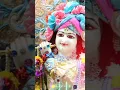 Download Lagu Sham sawere deku tujhko 💗💗🌺🌺 # jai shri krishna