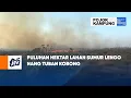 Download Lagu Puluhan Hektar Lahan Sumur Lengo Nang Tuban Kobong | POJOK KAMPUNG JTV