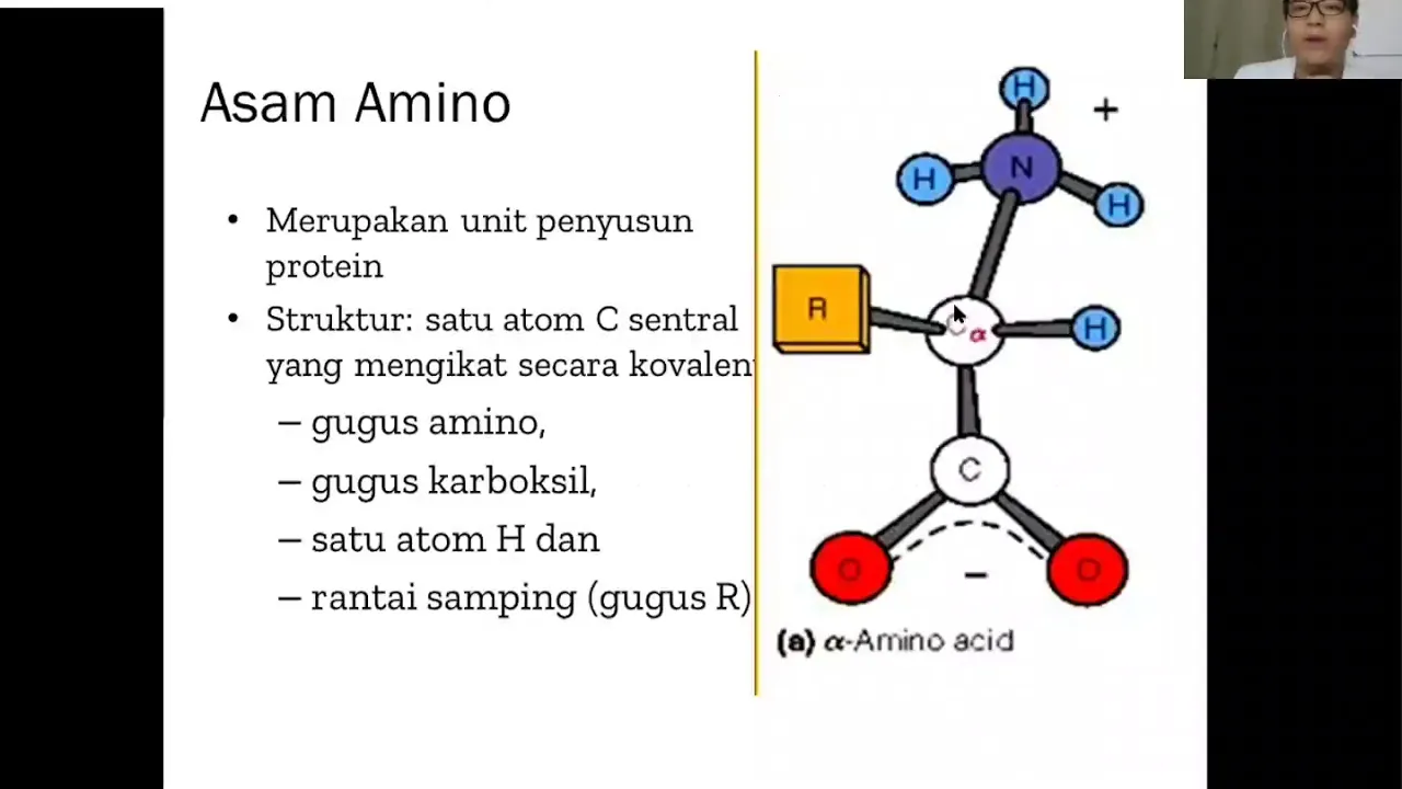 Protein dan Metabolismenya | Ilmu Kedokteran Dasar | Biokimia