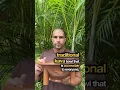 Download Lagu Traditional Kava bowl aka Tanoa or Kumete that is accessible to everyone.