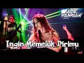 DJ INGIN MEMELUK DIRIMU - JEDAG JEDUG KOPLO TERBARU 2025