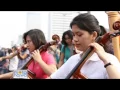 Download Lagu Twilite Orchestra - Yamko Rambe Yamko (Flash Mob Version)