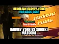 Harvey York vs Shigeki Matsuda | Crazy Remi Bb 6665-6669
