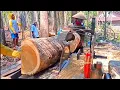 Download Lagu PROSES Pengolahan Kayu jati \u0026 Mahoni !! digergaji mesin Serkel rakitan 