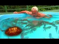 Swimming With Red Belly Piranhas In A Pool PIRANHA River Monsters