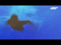 TELYKAST, x.o.anne - Free (Official Music Video)