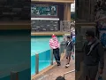 Download Lagu I can't believe what he did that with Tom! 🤣 | SeaWorld Orlando