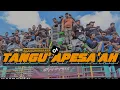 Download Lagu TANGU' APESA'AH || LAGU MADURA VIRAL TIKTOK‼️ - DJ VIRAL TERBARU 2024 - KAMULYAN PRODUCTION