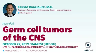 Germ cell tumors of the CNS - Dr. Rodriguez (Hopkins) #NEUROPATH
