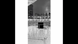 اجمل حالات واتس اب بدر العزي يا حبيبي يا محمد دندنها