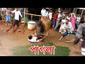 Download Lagu Amazing Pagla Goru Paglami | Mad Cow Madness | Gabtoli | Biggest Cattle Market in Bangladesh