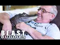 Meet Wally My Emotional Support Gator BEAST BUDDIES