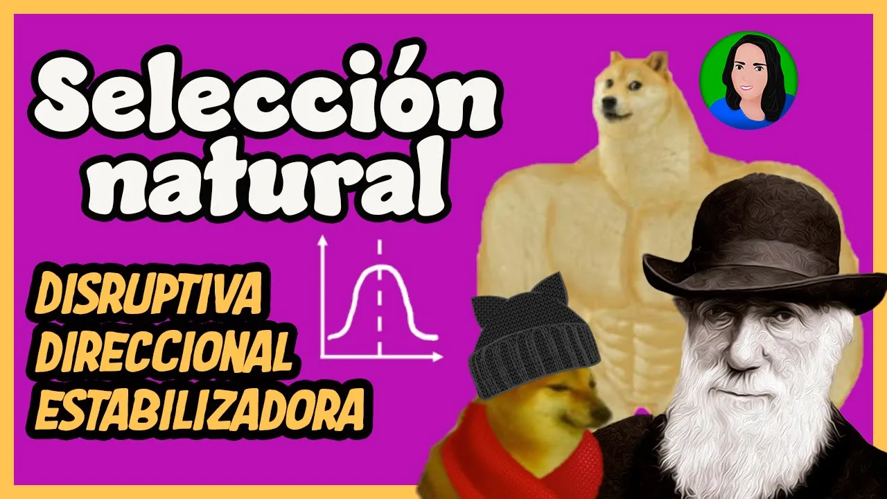 Selección natural: disruptiva, direccional y estabilizadora | Evolución |