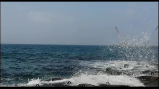 عفوا أيها القانون عمر خيرت  دندنها