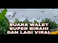 SP WALET yang lagi VIRAL | Test Respon Walet | Lokasi terbaik membangun rumah burung walet || BIRAHI