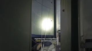 Super utile avec un frein de bôme lorsque le vent vient de l’arrière ! ( de jour comme de nuit 🌠)