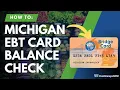 Michigan EBT Balance Check Instructions