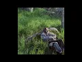 Download Lagu [FREE] keshi x starfall acoustic type beat 'sunset'
