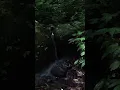 Exploring Java s Hidden Jungle Treasures Don t Miss This Adventure