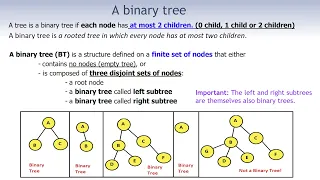 Binary Tree Part2 What Is a Binary Tree Types Characteristics Properties of Binary Trees