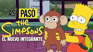 LOS SIMPSON ADOPTAN UN MONO | RESUMEN EN 13 MINUTOS