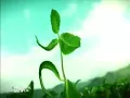 Download Lagu Iklan LA Menthol - Taichi (2015) @ Trans TV, Trans 7, Indosiar, RCTI \u0026 SCTV