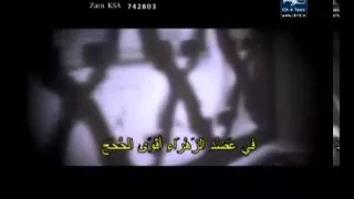 قال سليم قلت يا سلمان الشيخ حسين الأكرف 