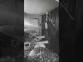 Dionne - The Japanese House (feat. Justin Vernon) Drum Clip