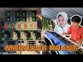 Download Lagu Lagu Joget Minang keyboard 2025_ Maraung Raung _ vocal by Celmy  MP3
