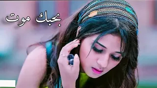 بحبك انا بحبك   بصرخ بأعلى صوت قوليلي شو بدك صرت بحبك موت      فيديو كليب دندنها