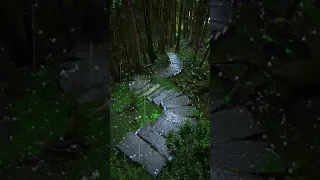 أجمل منظر طبيعي في العالم حالات واتس جمال طبيعي Video Beauty Children 