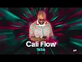Download Lagu Cali Flow - Tik Tok (Audio Oficial)