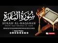 Download Lagu Surah Al-Baqarah | Sheikh Raad Mohammad Al Kurdi | Inner Peace | Relaxed Recitation